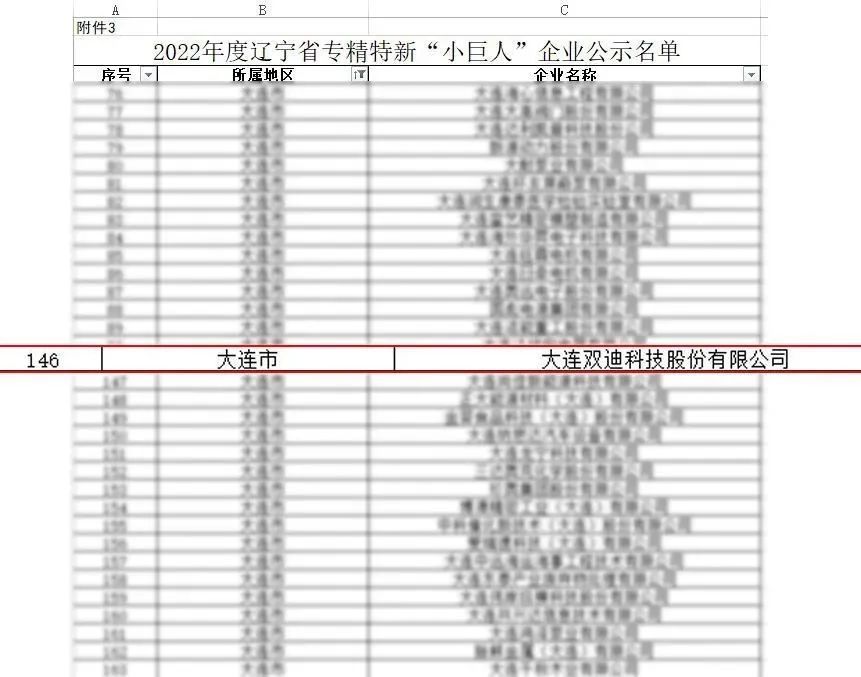 市专精特新中小企业调研小组到双迪公司进行调研