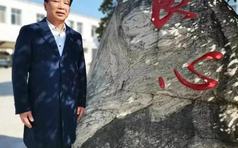 康美来 大别山深处的直销梦