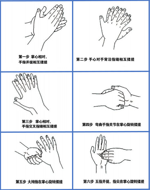 和治友德 | 全球洗手日：科学洗手做好防护