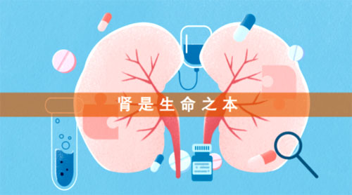 和治友德 | 大雪养生：万物潜藏 关注补肾