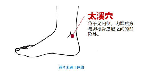 和治友德 | 大雪养生：万物潜藏 关注补肾