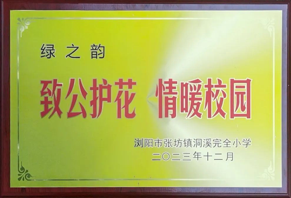 绿之韵公益基金会携手致公党浏阳工委走进浏阳市洞溪完小开展助学活动