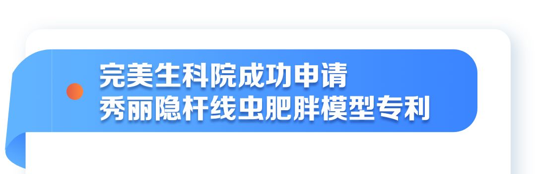 完美线虫肥胖模型获新专利，助力瘦身配方新未来