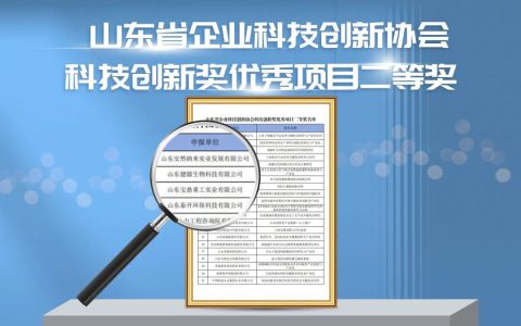 安然集团荣获山东省优秀项目奖