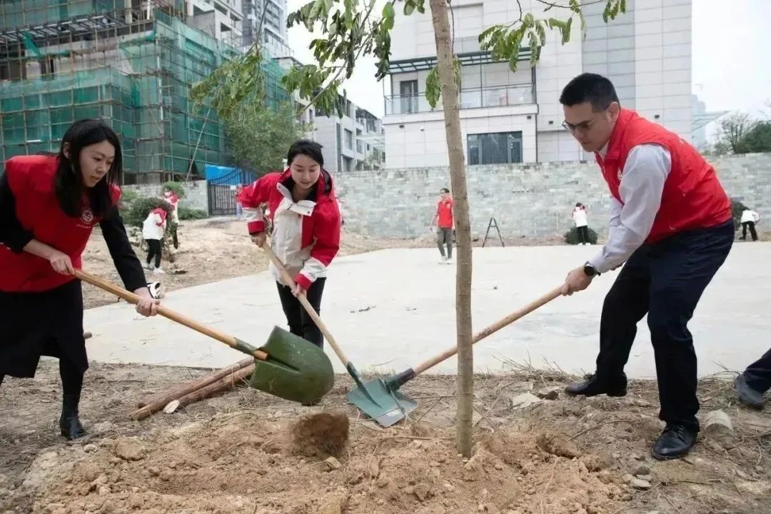 完美公司举办“‘岐’迎春光好时节 ‘完美’植绿党旗扬”绿化植树活动