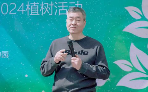 三八妇乐开展植树主题团建活动
