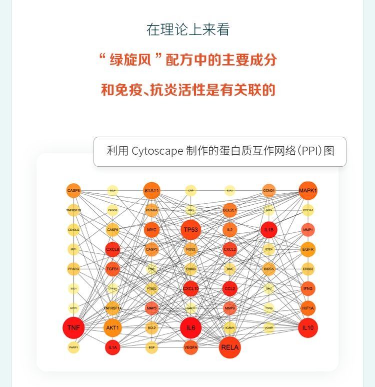 自然阳光 | 这种复合植物粉如何科学护肠？来一探究竟！