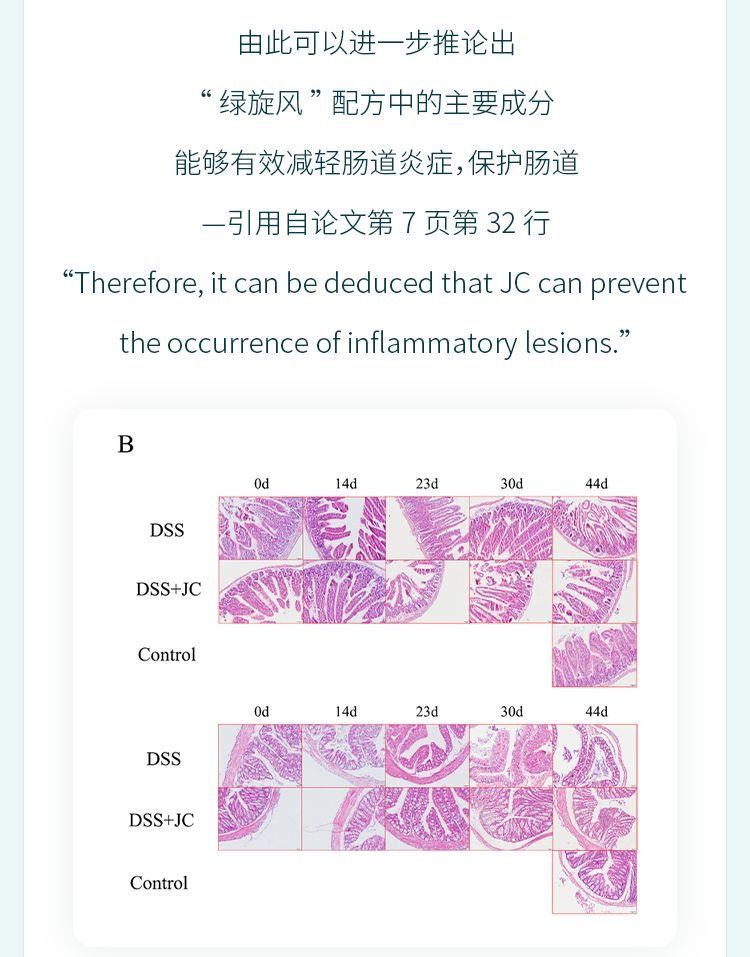 自然阳光 | 这种复合植物粉如何科学护肠？来一探究竟！