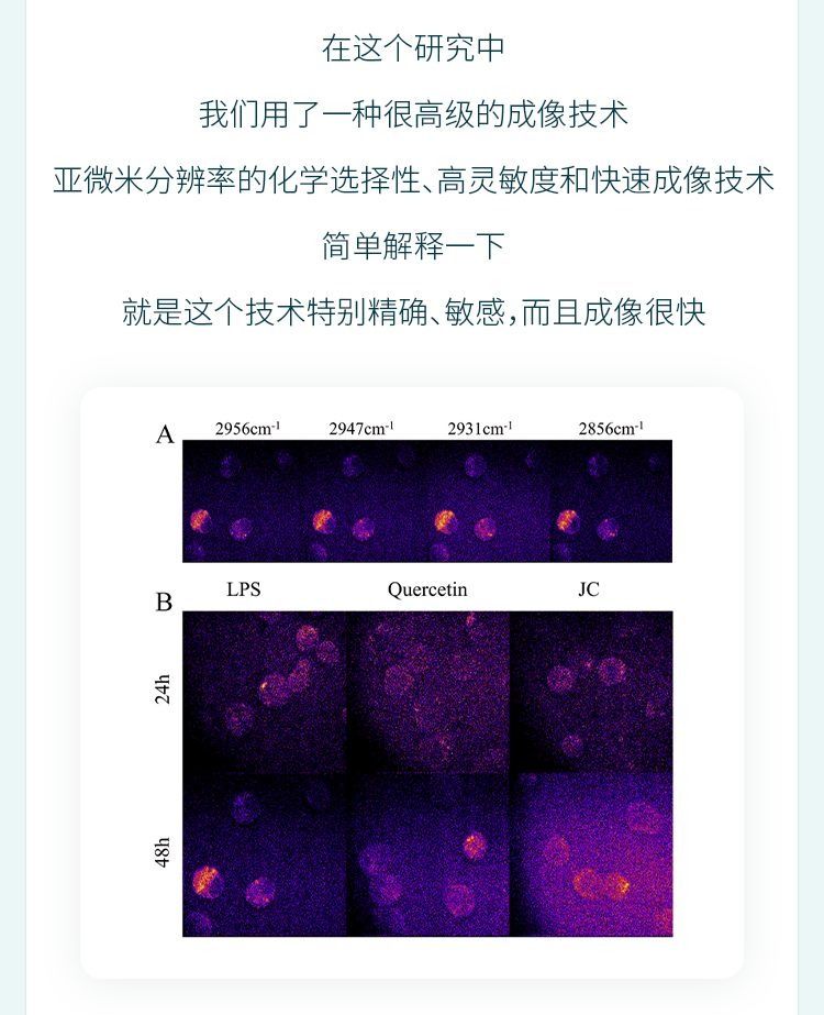 自然阳光 | 这种复合植物粉如何科学护肠？来一探究竟！