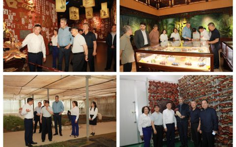 多米尼加地区一体化政策部部长米格尔·梅希亚一行参观安惠园