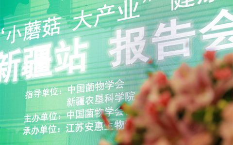 “小蘑菇 大产业”健康中国行新疆站报告会暨安惠新疆分公司成立大会举行