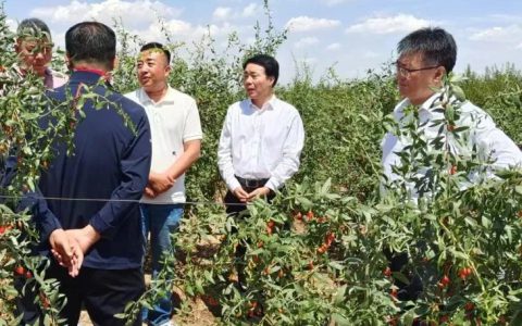 同仁堂集团党委副书记、总经理戴小锋赴宁夏调研并参加枸杞产业博览会