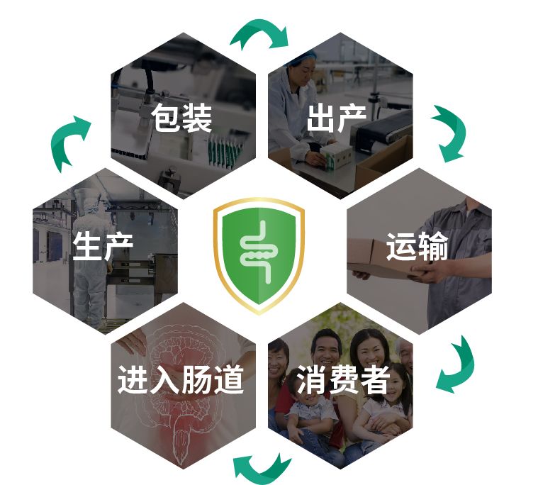 绿之韵 | 保姆级攻略，教你如何正确选择益生菌产品