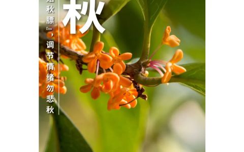 和治友德 | 立秋养生：健康科学“贴秋膘” 调节情绪勿悲秋