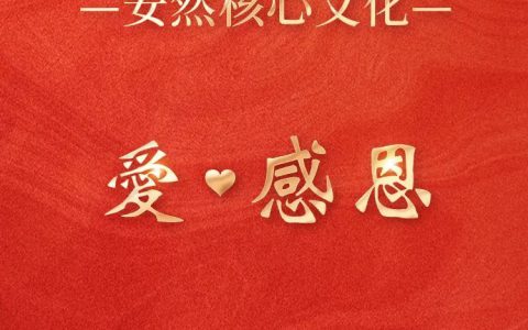 安然20周年企业文化全新升级