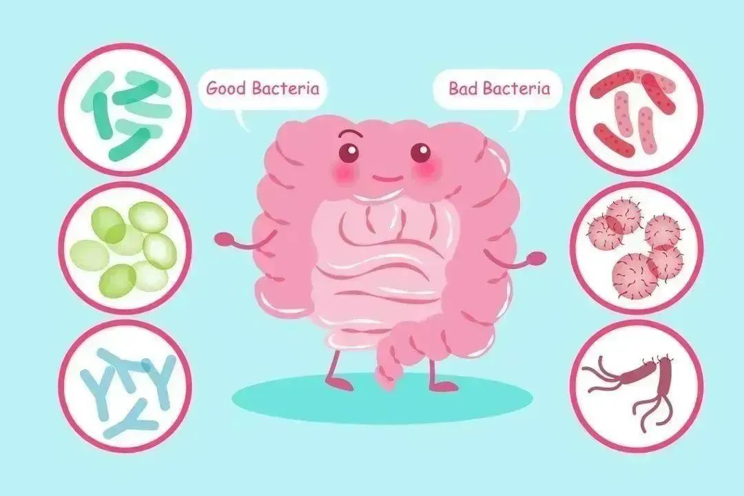 绿之韵 | 保姆级攻略，教你如何正确选择益生菌产品