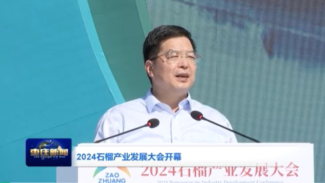 福能源 | 2024石榴产业发展大会开幕 好医生共商产业发展路径