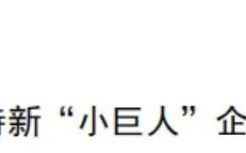 卫康荣获专精特新“小巨人”企业称号