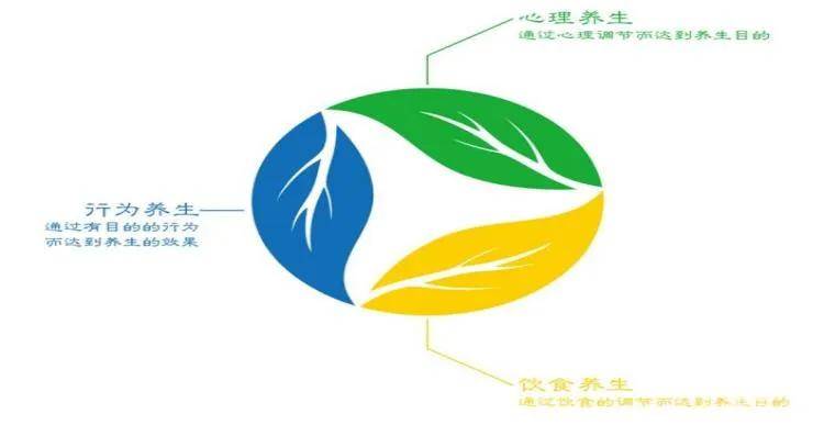 和治友德—全球化蓝海中的领航人