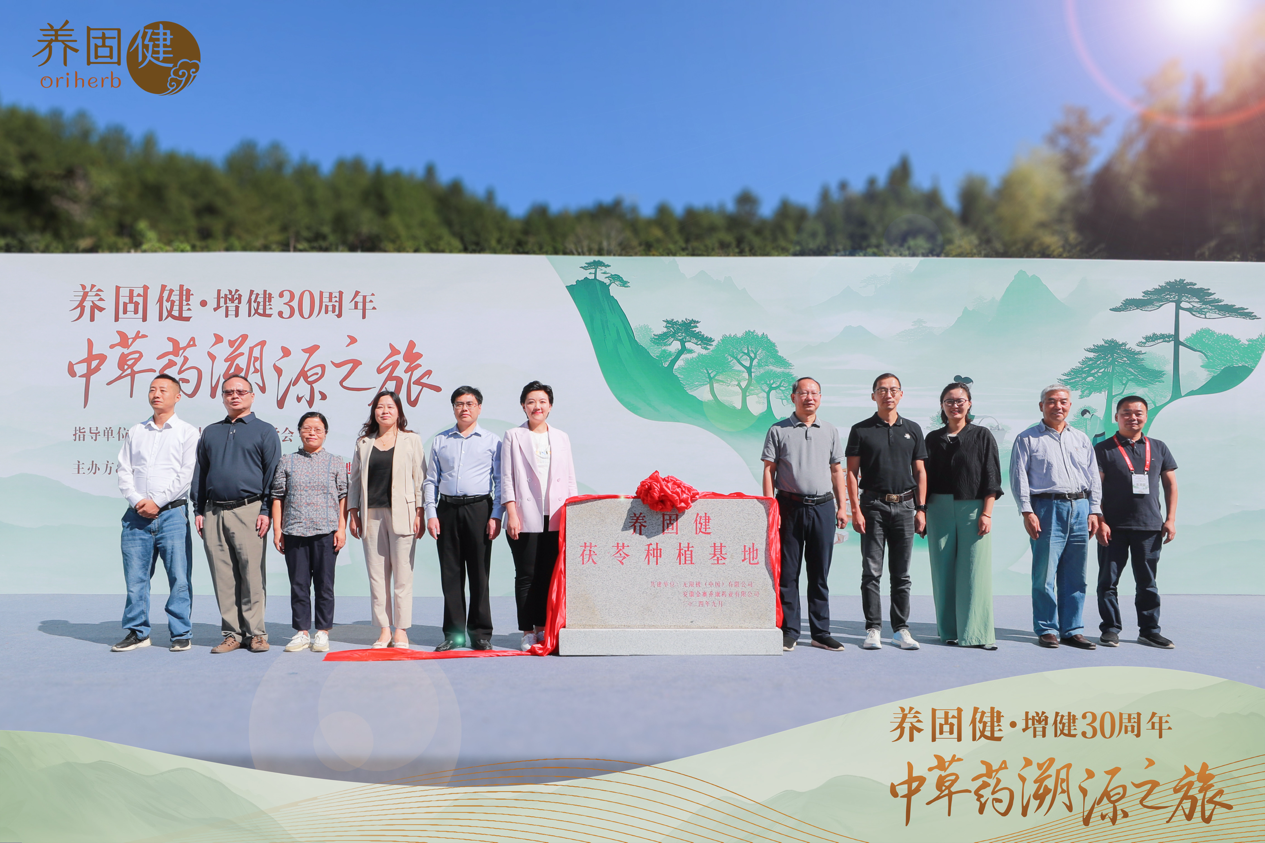 探秘岳西道地茯苓，养固健推动中草药健康产业革命