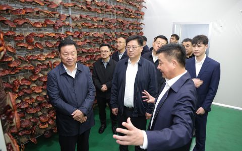 青海省黄南州委副书记、州长扎西才让一行在安惠生物科技调研