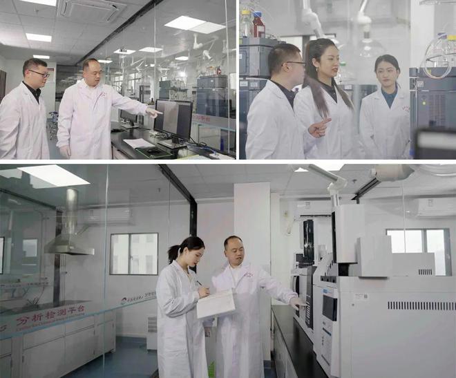 喜讯！绿之韵集团获评“湖南省专家工作站”荣誉称号