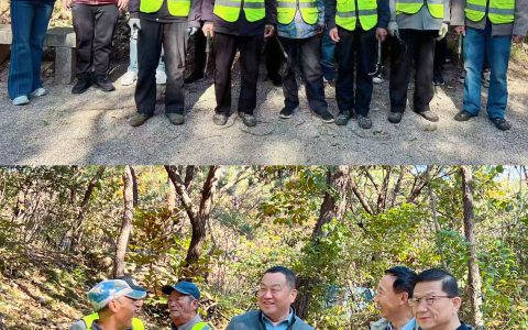 绿树群山长青常在，护林公益常做常新