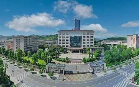 理想华莱乡村振兴：不啻微光，造炬成阳