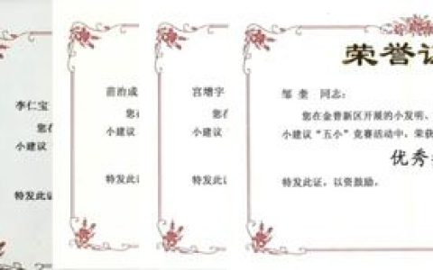 双迪及旗下桃花公司获“五小”竞赛多个奖项