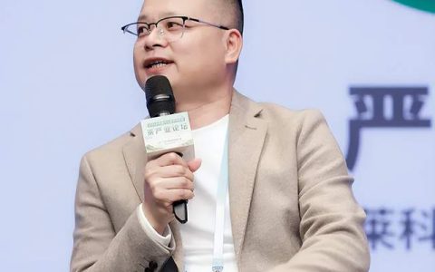 理想华莱“点绿成金”，黑茶产业助力乡村振兴