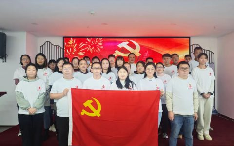 理想华莱党委组织开展“回望奋进路，扬帆谋新篇”主题党日活动