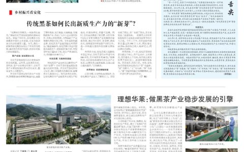 理想华莱：做黑茶产业稳步发展的引擎