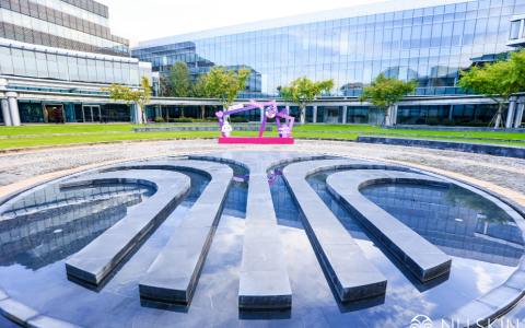 如新集团：合规有序经营，共创未来佳绩