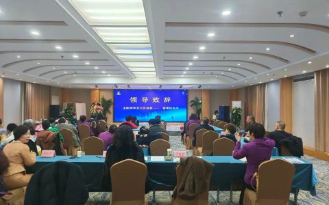 太阳神市场锐不可当：健康小栈领航，五大项目迅猛发展
