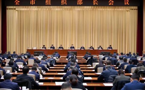 同仁堂集团在全市组织部长会议上作典型发言