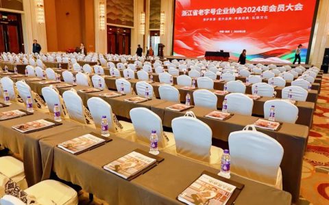 致中和荣获2024年度品牌创新企业称号