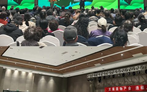 “健康中国 安惠在行动”邯郸站报告会举行