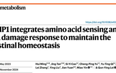 安然众合牌多种维生素蛋白粉 喝出健康活力