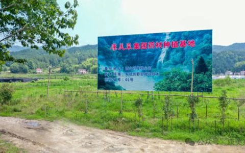 康美来董事长余春富进山视察灵芝基地建设