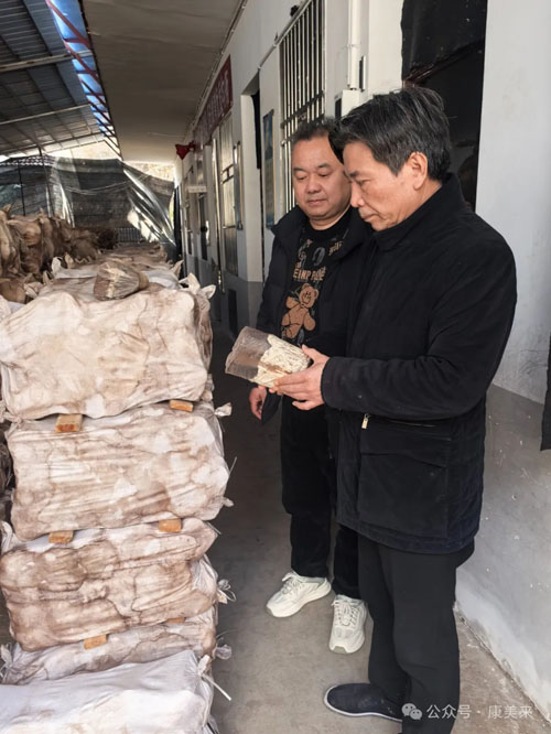 康美来董事长余春富进山视察灵芝基地建设