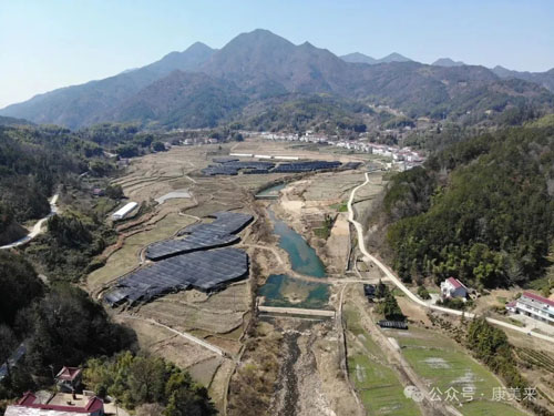 康美来董事长余春富进山视察灵芝基地建设