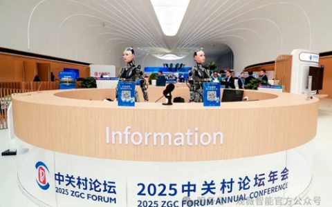 罗麦|“玄黄识仪”亮相 2025 中关村论坛