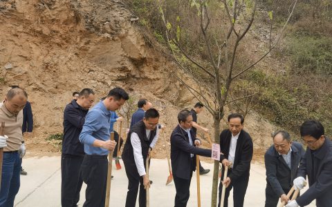 理想华莱参加益阳市“植树季·代表行”活动