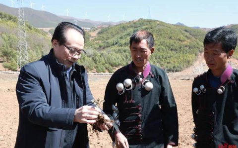 全国人大代表耿福能：建议加强优质医疗资源下沉，落实分级诊疗