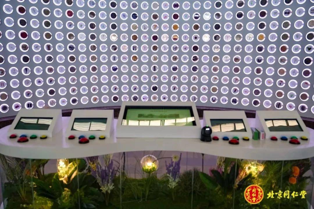 同仁堂又添打卡新去处 带您穿越古今品味药香
