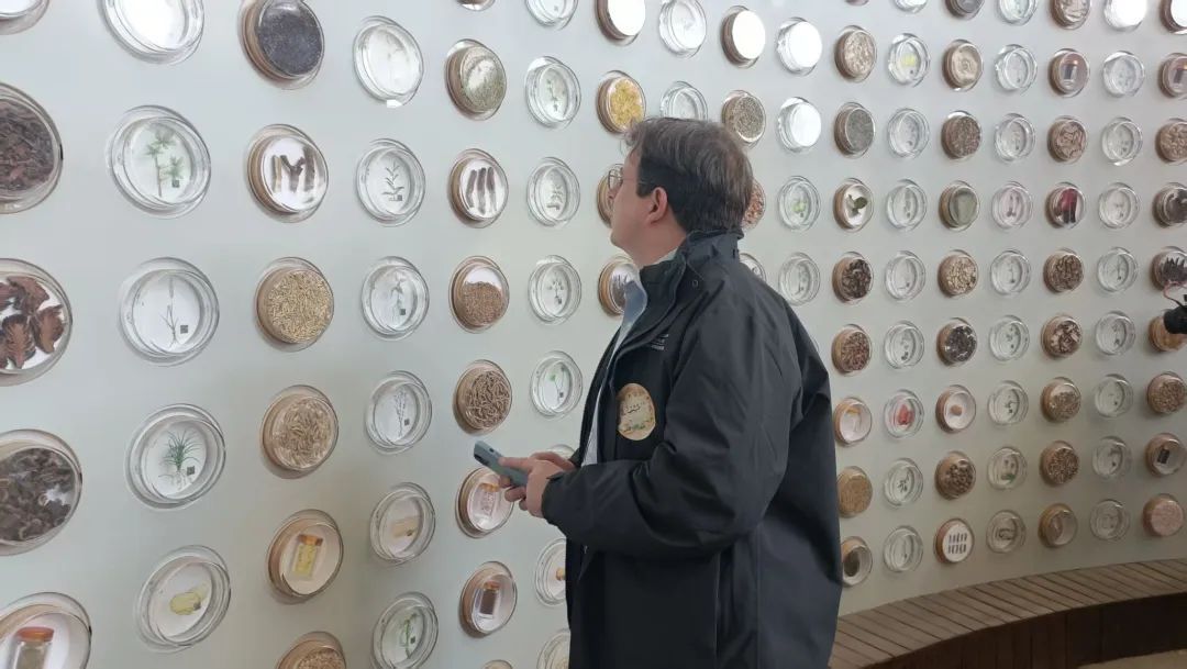 清华苏世民书院师生走进同仁堂 被中式养生文化“圈粉”