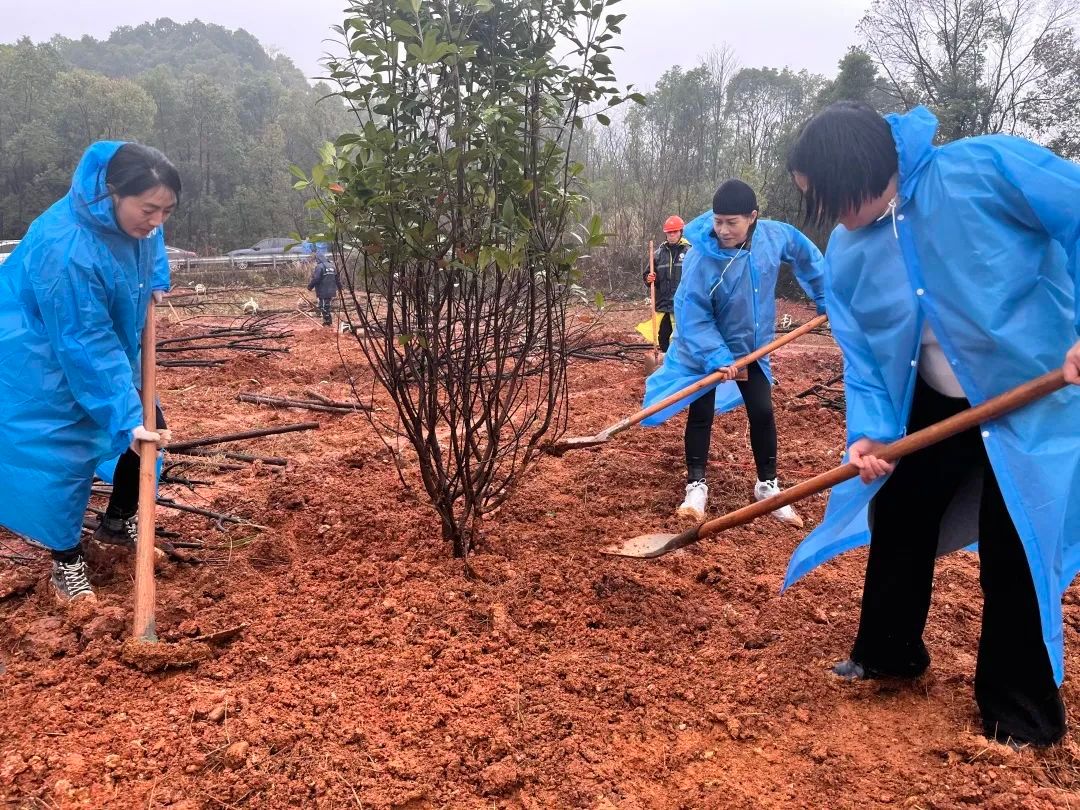 湖南 | 完美植树添新绿 同心共建生态美