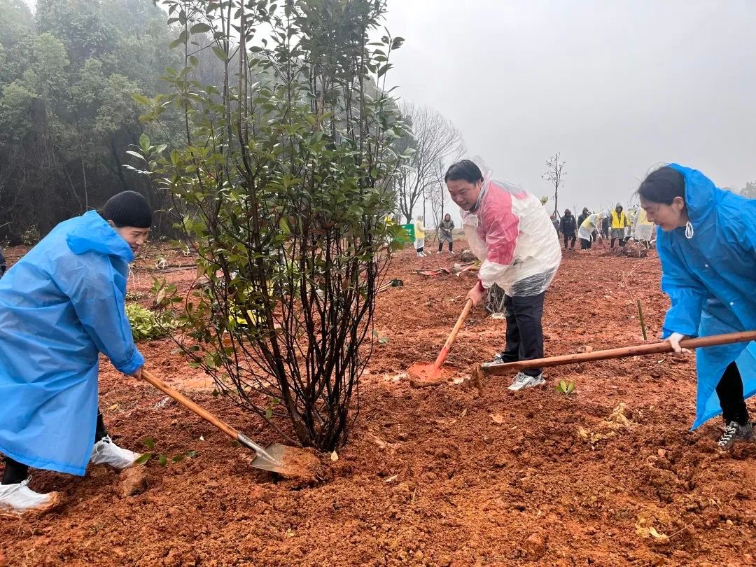 湖南 | 完美植树添新绿 同心共建生态美