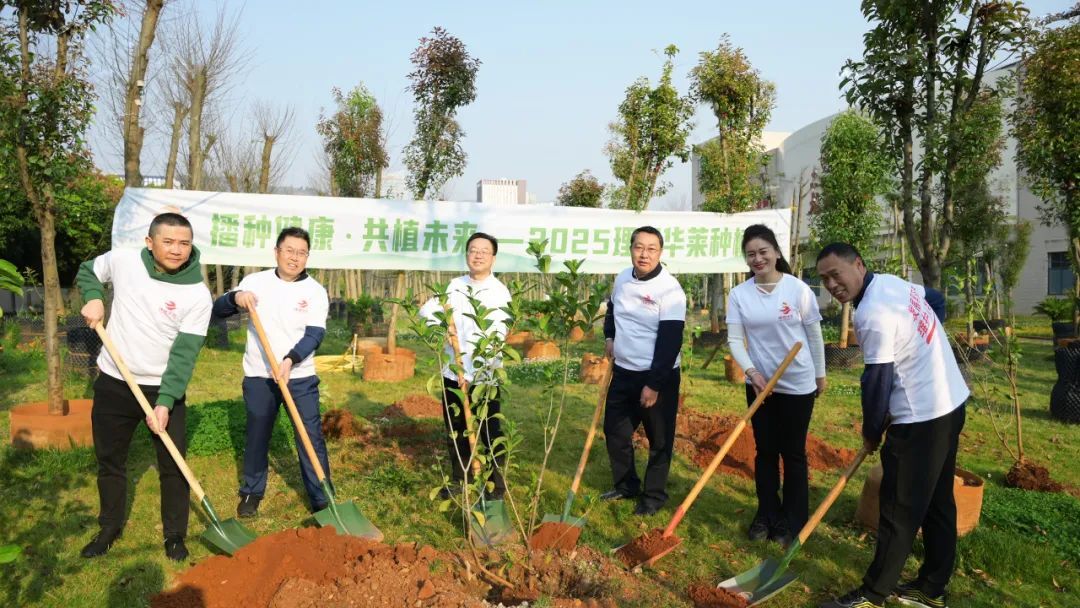 播种健康·共植未来——2025理想华莱种树活动圆满举行