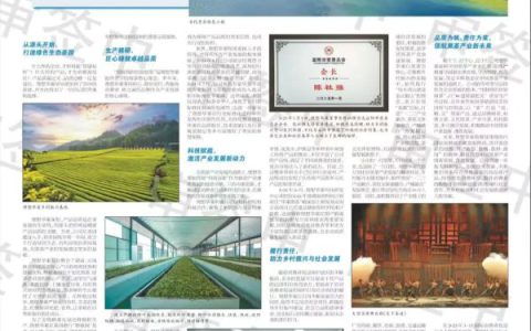 中国消费者报 | 理想华莱：以品质与责任，守护消费者权益，领航产业新发展